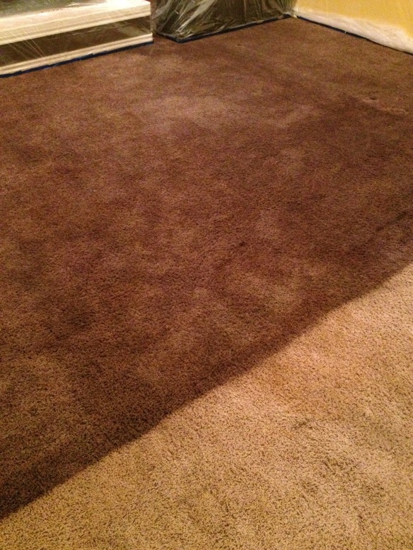 Rit dye carpets  purfectlynotpurfect